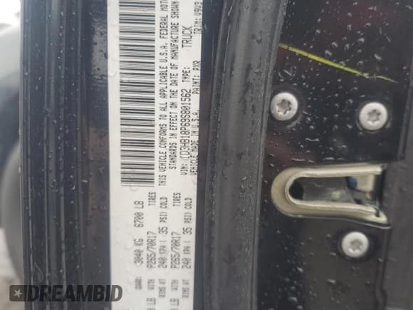 ✅ 2009 Dodge 1500 SLT • VIN: 1D3HB18P69S801562 • Lot: 54695935. Wystawiony na Copart z przebiegiem 162 988 mil. Bezpłatny archiwum sprzedaży aukcyjnych z USA i szczegółowy raport historii pojazdu na DreamBid. Zdjęcie 12.