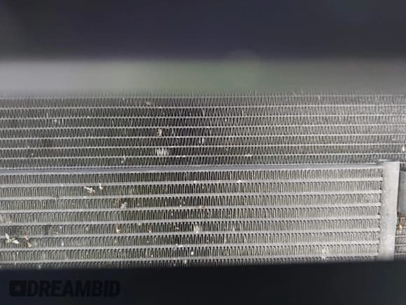 ✅ 2006 Dodge 1500 ST • VIN: 1D7HA16K46J185838 • Лот: 43602570. Опубликован ранее на IAAI с пробегом 195 820 миль. Бесплатный доступ к архиву аукционных продаж из США и подробный отчёт об истории автомобиля на DreamBid. Изображение 10.