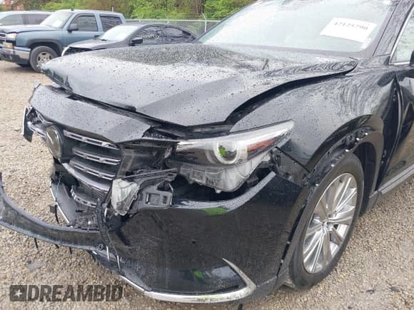 ✅ 2022 Mazda CX-9 Signature • VIN: JM3TCBEY1N0616982 • Lot: 42125790. Wystawiony na IAAI z przebiegiem 101 918 mil. Bezpłatny archiwum sprzedaży aukcyjnych z USA i szczegółowy raport historii pojazdu na DreamBid. Zdjęcie 19.