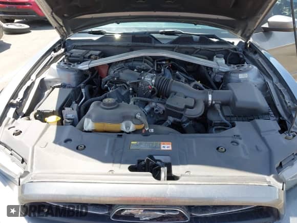 2014 Ford Mustang V6 с VIN 1ZVBP8EM1E5291808, выставлен на аукционе IAAI как лот 42353380 с пробегом 87 733 миль миль и . История ставок и продаж доступна на DreamBid. Изображение 10.