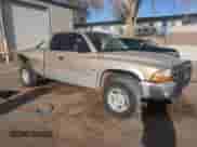 2002 Dodge Dakota SLT with VIN 1B7GG42N52S695478, listed as a Copart auction lot 51848235 with Not provided miles and Salvage title. Bid and sale history available at DreamBid. Image 4.