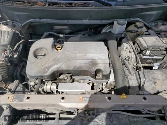 2018 Chevrolet Equinox LT z VIN 2GNAXJEV9J6156273, wystawiony jako Copart lot #84373745 z przebiegiem 185 635 mil mil oraz Szkoda całkowita • Salvage title. Historia ofert i sprzedaży dostępna na DreamBid. Obrazek 12.