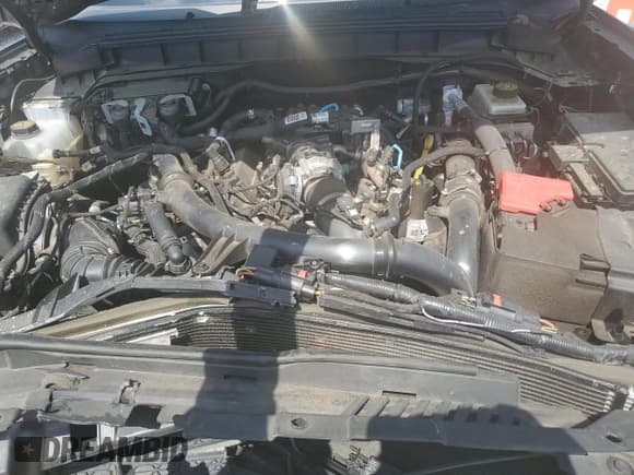 ✅ 2021 Ford Bronco • VIN: 1FMEE5DP9MLA70320 • Lot: 63938515. Wystawiony na Copart z przebiegiem 44 942 mil. Bezpłatny archiwum sprzedaży aukcyjnych z USA i szczegółowy raport historii pojazdu na DreamBid. Zdjęcie 11.