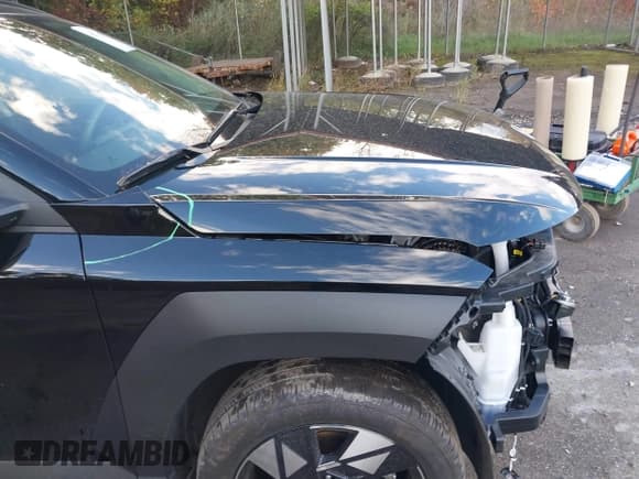 ✅ 2025 Hyundai Kona SEL • VIN: KM8HBCAB5SU186303 • Лот: 43511428. Опубликован ранее на IAAI с пробегом 17 710 миль. Бесплатный доступ к архиву аукционных продаж из США и подробный отчёт об истории автомобиля на DreamBid. Изображение 18.