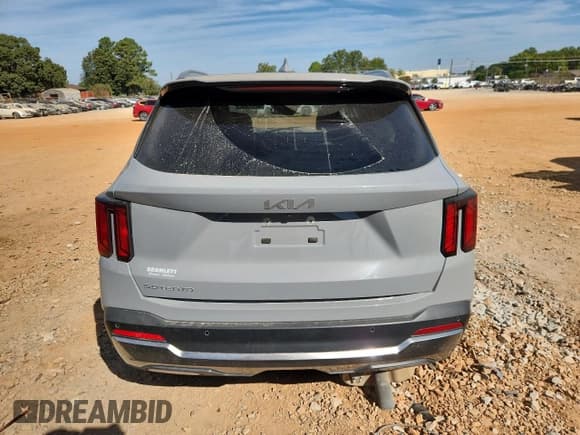 ✅ 2024 Kia Sorento EX • VIN: 5XYRH4JF1RG307100 • Lot: 87210615. Listed on Copart with 29,290 mi. Free auction sales archive from the USA and detailed vehicle history report at DreamBid. Image 6.