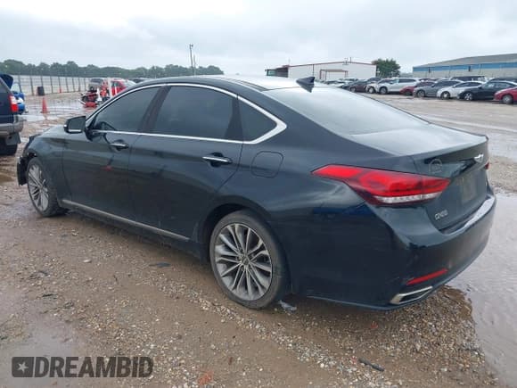 ✅ 2016 Hyundai Genesis 3.8L • VIN: KMHGN4JE3GU106717 • Lot: 40319357. Wystawiony na IAAI z przebiegiem 207 077 mil. Bezpłatny archiwum sprzedaży aukcyjnych z USA i szczegółowy raport historii pojazdu na DreamBid. Zdjęcie 3.