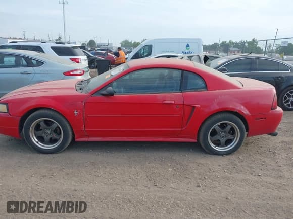 ✅ 2003 Ford Mustang Standard • VIN: 1FAFP40403F411552 • Lot: 42829909. Wystawiony na IAAI z przebiegiem 217 558 mil. Bezpłatny archiwum sprzedaży aukcyjnych z USA i szczegółowy raport historii pojazdu na DreamBid. Zdjęcie 15.