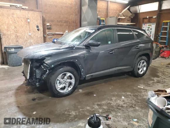 ✅ 2024 Hyundai Tucson SEL • VIN: 5NMJBCDE2RH365105 • Lot: 80703444. Wystawiony na Copart z przebiegiem 9 958 mil. Bezpłatny archiwum sprzedaży aukcyjnych z USA i szczegółowy raport historii pojazdu na DreamBid. Zdjęcie 1.