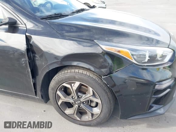 ✅ 2019 Kia Forte LXS • VIN: 3KPF24AD6KE052272 • Lot: 43802809. Listed on IAAI with 126,036 mi. Free auction sales archive from the USA and detailed vehicle history report at DreamBid. Image 17.