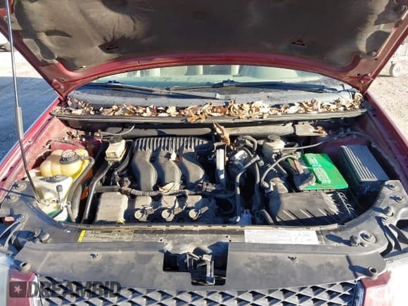 ✅ 2005 Ford Freestyle Limited • VIN: 1FMDK06135GA38103 • Лот: 43679966. Опубликован ранее на IAAI с пробегом 235 584 миль. Бесплатный доступ к архиву аукционных продаж из США и подробный отчёт об истории автомобиля на DreamBid. Изображение 10.