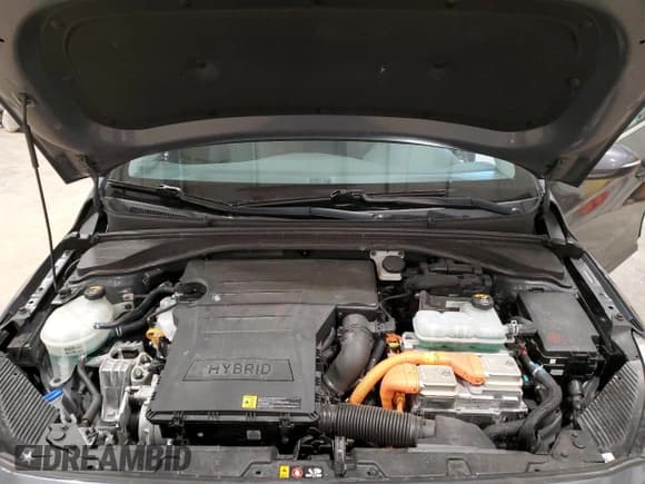 ✅ 2018 Hyundai Ioniq SEL • VIN: KMHC75LC1JU102683 • Lot: 50394015. Wystawiony na Copart z przebiegiem 36 937 mil. Bezpłatny archiwum sprzedaży aukcyjnych z USA i szczegółowy raport historii pojazdu na DreamBid. Zdjęcie 11.