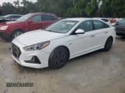 ✅ 2019 Hyundai Sonata • VIN: KMHE14L27KA093101 • Лот: 69629844. Опубликован ранее на Copart с пробегом 34 147 миль. Бесплатный доступ к архиву аукционных продаж из США и подробный отчёт об истории автомобиля на DreamBid. Изображение 1.