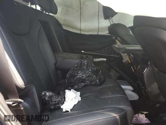 ✅ 2021 Hyundai Santa Fe SEL • VIN: 5NMS34AJ8MH355969 • Lot: 61730573. Wystawiony na Copart z przebiegiem Nie podano. Bezpłatny archiwum sprzedaży aukcyjnych z USA i szczegółowy raport historii pojazdu na DreamBid. Zdjęcie 11.