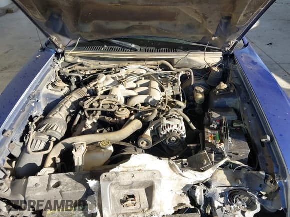 ✅ 2004 Ford Mustang Standard • VIN: 1FAFP40604F156257 • Lot: 43665137. Wystawiony na IAAI z przebiegiem 211 896 mil. Bezpłatny archiwum sprzedaży aukcyjnych z USA i szczegółowy raport historii pojazdu na DreamBid. Zdjęcie 10.