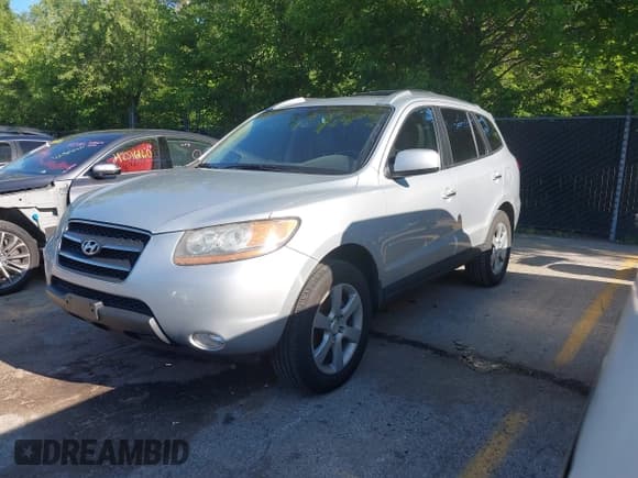 ✅ 2009 Hyundai Santa Fe SE • VIN: 5NMSH13E39H286132 • Lot: 42306022. Listed on IAAI with 133,255 mi. Free auction sales archive from the USA and detailed vehicle history report at DreamBid. Image 2.