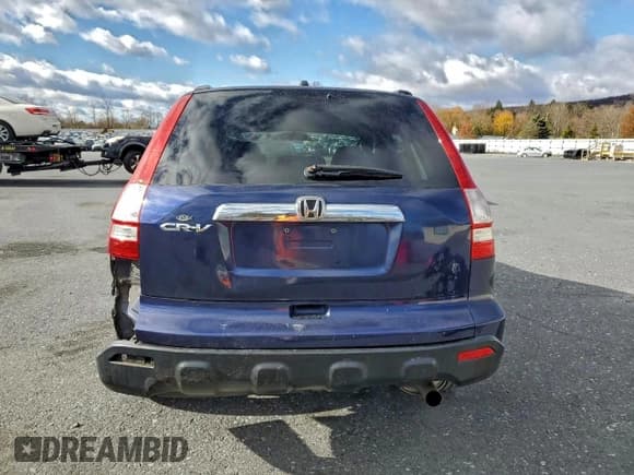 ✅ 2009 Honda CR-V EX • VIN: 5J6RE48529L030123 • Lot: 94317215. Listed on Copart with 159,039 mi. Free auction sales archive from the USA and detailed vehicle history report at DreamBid. Image 6.