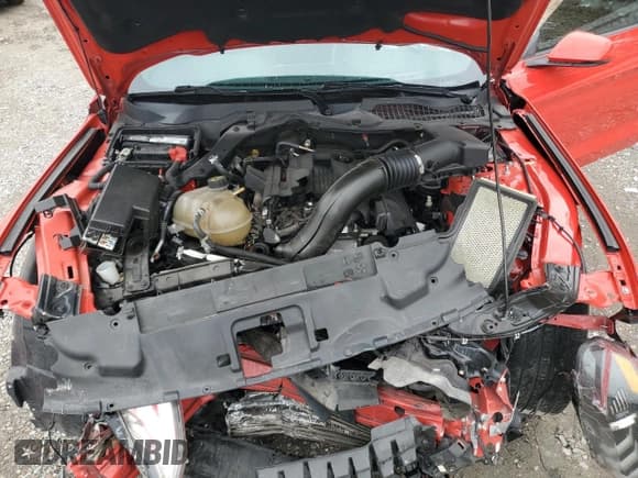 ✅ 2019 Ford Mustang EcoBoost Premium • VIN: 1FA6P8TH5K5150333 • Lot: 90470515. Listed on Copart with 119,779 mi. Free auction sales archive from the USA and detailed vehicle history report at DreamBid. Image 11.