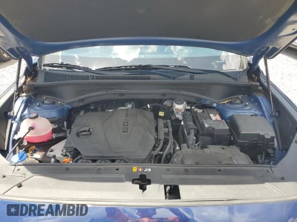 ✅ 2021 Hyundai Santa Fe SE • VIN: 5NMS14AJ8MH364841 • Lot: 69196794. Wystawiony na Copart z przebiegiem 35 004 mil. Bezpłatny archiwum sprzedaży aukcyjnych z USA i szczegółowy raport historii pojazdu na DreamBid. Zdjęcie 14.