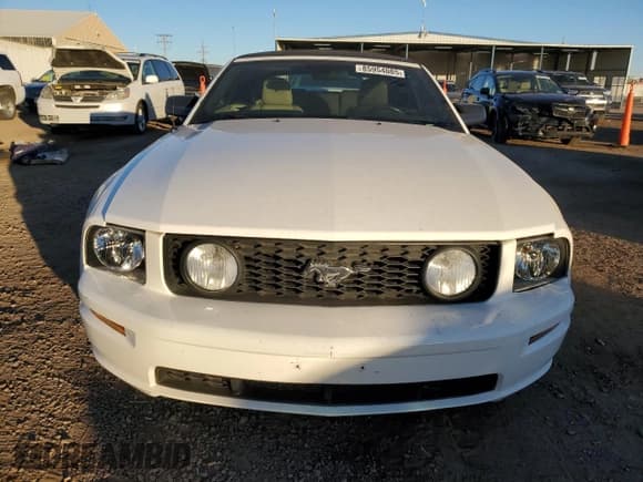 ✅ 2006 Ford Mustang GT Deluxe • VIN: 1ZVHT85H365236268 • Lot: 85954085. Wystawiony na Copart z przebiegiem 134 436 mil. Bezpłatny archiwum sprzedaży aukcyjnych z USA i szczegółowy raport historii pojazdu na DreamBid. Zdjęcie 5.