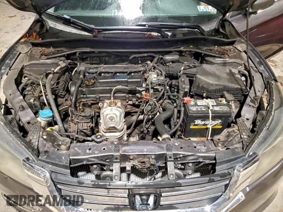 ✅ 2014 Honda Accord EX-L • VIN: 1HGCR2F81EA172388 • Lot: 94093545. Listed on Copart with 209,511 mi. Free auction sales archive from the USA and detailed vehicle history report at DreamBid. Image 11.