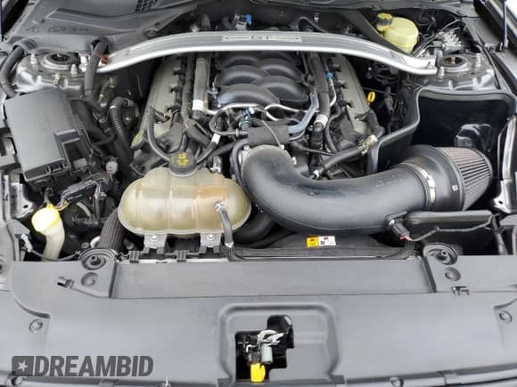 ✅ 2017 Ford Mustang GT Premium • VIN: 1FA6P8CF1H5281430 • Lot: 91838205. Wystawiony na Copart z przebiegiem 91 352 mil. Bezpłatny archiwum sprzedaży aukcyjnych z USA i szczegółowy raport historii pojazdu na DreamBid. Zdjęcie 12.