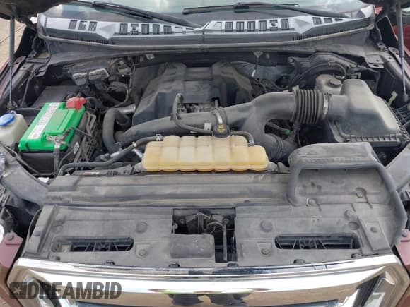 ✅ 2016 Ford F-150 XLT • VIN: 1FTEW1EP6GFC66565 • Lot: 42388799. Listed on IAAI with 176,051 mi. Free auction sales archive from the USA and detailed vehicle history report at DreamBid. Image 10.