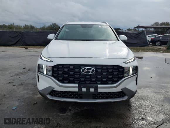 ✅ 2023 Hyundai Santa Fe SEL • VIN: 5NMS2DAJ8PH599810 • Lot: 38441824. Wystawiony na Copart z przebiegiem 4 411 mil. Bezpłatny archiwum sprzedaży aukcyjnych z USA i szczegółowy raport historii pojazdu na DreamBid. Zdjęcie 5.