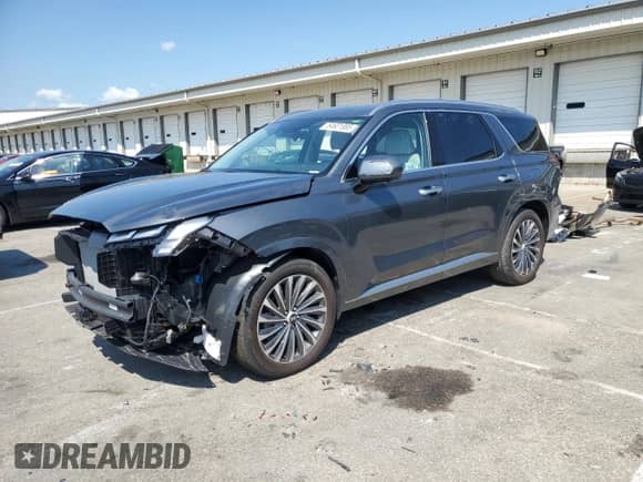 2025 Hyundai Palisade Calligraphy with VIN KM8R74GE9SU869943, listed as a Copart auction lot 54601985 with 4,207 mi miles and Salvage title. Bid and sale history available at DreamBid. Image 1.