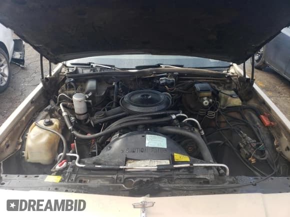 ✅ 1982 Chevrolet Caprice • VIN: 2G1AN35HXC1237392 • Лот: 69453243. Опубликован ранее на Copart с пробегом 31 492 миль. Бесплатный доступ к архиву аукционных продаж из США и подробный отчёт об истории автомобиля на DreamBid. Изображение 11.