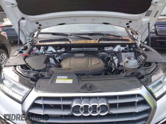 ✅ 2018 Audi Q5 Premium Plus • VIN: WA1BNAFY5J2134645 • Лот: 43636154. Опубликован ранее на IAAI с пробегом 50 581 миль. Бесплатный доступ к архиву аукционных продаж из США и подробный отчёт об истории автомобиля на DreamBid. Изображение 10.