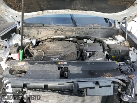 ✅ 2025 Hyundai Palisade Limited • VIN: KM8R5DGE7SU841080 • Лот: 51776035. Опубликован ранее на Copart с пробегом 979 миль. Бесплатный доступ к архиву аукционных продаж из США и подробный отчёт об истории автомобиля на DreamBid. Изображение 13.