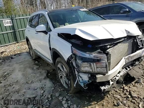 ✅ 2023 Hyundai Santa Fe SEL • VIN: 5NMS3DAJ9PH563329 • Lot: 41374514. Wystawiony na Copart z przebiegiem 3 587 mil. Bezpłatny archiwum sprzedaży aukcyjnych z USA i szczegółowy raport historii pojazdu na DreamBid. Zdjęcie 10.