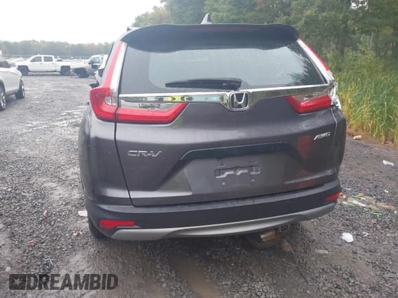 ✅ 2019 Honda CR-V LX • VIN: 2HKRW6H30KH219439 • Lot: 43302710. Listed on IAAI with Not provided. Free auction sales archive from the USA and detailed vehicle history report at DreamBid. Image 13.