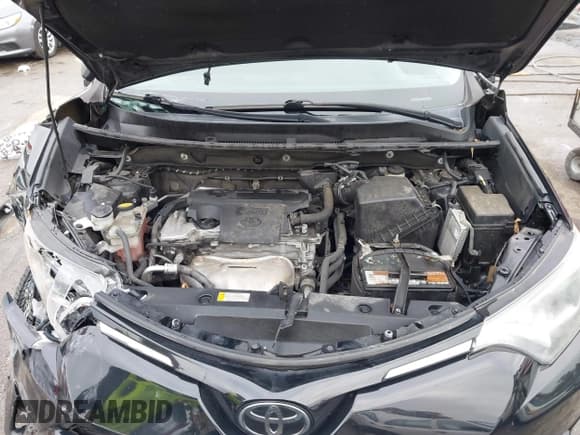 ✅ 2017 Toyota RAV4 LE • VIN: 2T3BFREV0HW590319 • Lot: 43574606. Listed on IAAI with 122,798 mi. Free auction sales archive from the USA and detailed vehicle history report at DreamBid. Image 10.