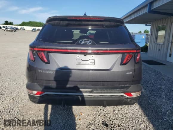 2022 Hyundai Tucson SEL с VIN KM8JBCAE2NU065874, выставлен на аукционе Copart как лот 56485635 с пробегом 38 077 миль миль и Списание • Salvage title. История ставок и продаж доступна на DreamBid. Изображение 6.