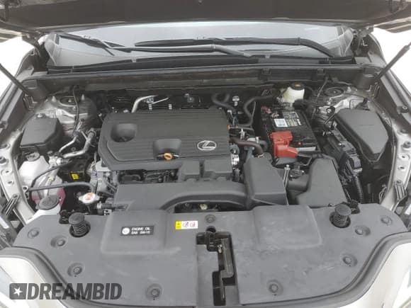 ✅ 2022 Lexus NX 250 • VIN: 2T2ADCAZXNC001110 • Lot: 49154505. Listed on Copart with 2,623 mi. Free auction sales archive from the USA and detailed vehicle history report at DreamBid. Image 14.