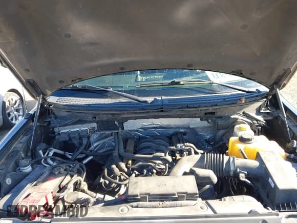 ✅ 2014 Ford F-150 XL • VIN: 1FTFW1EF7EFB54656 • Lot: 43661392. Listed on IAAI with 119,620 mi. Free auction sales archive from the USA and detailed vehicle history report at DreamBid. Image 10.