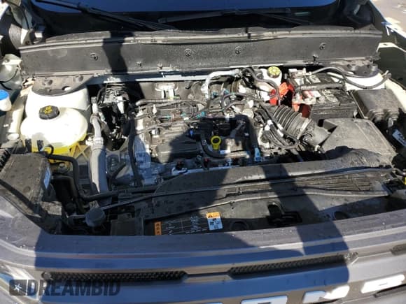 ✅ 2024 Ford Bronco Sport Big Bend • VIN: 3FMCR9B69RRF32297 • Лот: 91001135. Опубликован ранее на Copart с пробегом 7 969 миль. Бесплатный доступ к архиву аукционных продаж из США и подробный отчёт об истории автомобиля на DreamBid. Изображение 12.