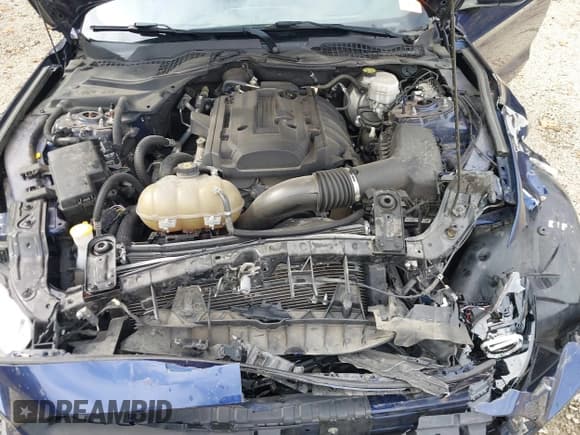 ✅ 2019 Ford Mustang EcoBoost • VIN: 1FA6P8TH3K5167776 • Lot: 43544088. Wystawiony na IAAI z przebiegiem 83 964 mil. Bezpłatny archiwum sprzedaży aukcyjnych z USA i szczegółowy raport historii pojazdu na DreamBid. Zdjęcie 10.