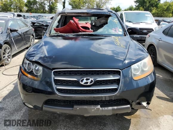 ✅ 2009 Hyundai Santa Fe Limited • VIN: 5NMSH13E39H276927 • Lot: 65666704. Listed on Copart with Not provided. Free auction sales archive from the USA and detailed vehicle history report at DreamBid. Image 5.