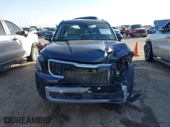 ✅ 2023 Kia Telluride EX X-Line • VIN: 5XYP3DGCXPG388422 • Lot: 41209649. Wystawiony na IAAI z przebiegiem 48 665 mil. Bezpłatny archiwum sprzedaży aukcyjnych z USA i szczegółowy raport historii pojazdu na DreamBid. Zdjęcie 11.