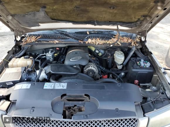 ✅ 2003 Chevrolet Silverado 1500 LS • VIN: 1GCEC19V63E343436 • Lot: 93076045. Listed on Copart with 141,987 mi. Free auction sales archive from the USA and detailed vehicle history report at DreamBid. Image 11.