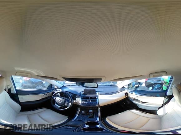 ✅ 2016 Lexus NX 200t • VIN: JTJYARBZ0G2029929 • Lot: 42015039. Listed on IAAI with 156,112 mi. Free auction sales archive from the USA and detailed vehicle history report at DreamBid. Image 19.