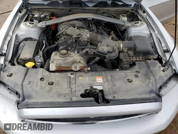 ✅ 2014 Ford Mustang Premium • VIN: 1ZVBP8EM8E5264296 • Lot: 82049775. Listed on Copart with 138,336 mi. Free auction sales archive from the USA and detailed vehicle history report at DreamBid. Image 11.