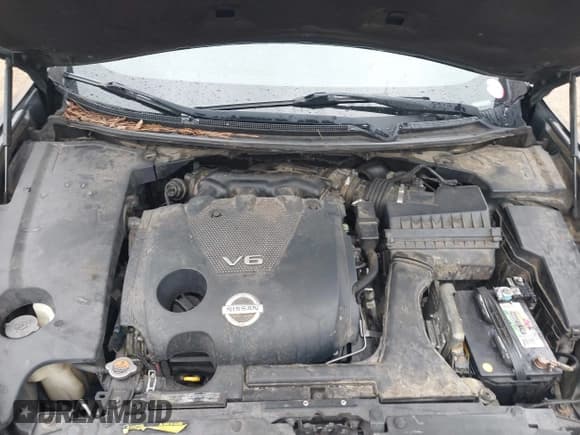 ✅ 2012 Nissan Maxima SV • VIN: 1N4AA5APXCC803529 • Lot: 43836491. Listed on IAAI with Not provided. Free auction sales archive from the USA and detailed vehicle history report at DreamBid. Image 10.