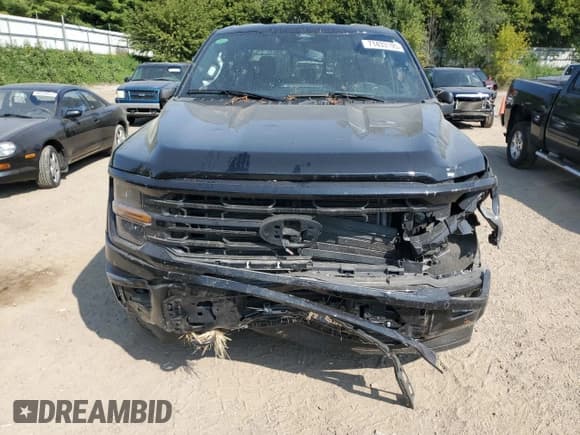 ✅ 2025 Ford F-150 XLT • VIN: 1FTEW3LP9SFA20133 • Lot: 71433195. Listed on Copart with 2,663 mi. Free auction sales archive from the USA and detailed vehicle history report at DreamBid. Image 5.