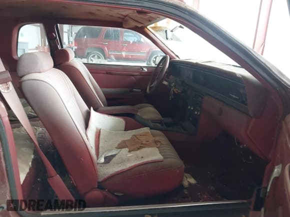 ✅ 1984 Ford Thunderbird • VIN: 1FABP4630EA111572 • Lot: 41569309. Listed on IAAI with 7,919 mi. Free auction sales archive from the USA and detailed vehicle history report at DreamBid. Image 5.