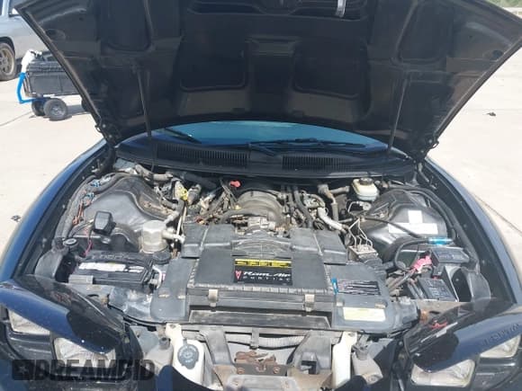 ✅ 1999 Pontiac Firebird Formula • VIN: 2G2FV22G0X2234332 • Лот: 42683436. Опубликован ранее на IAAI с пробегом 110 220 миль. Бесплатный доступ к архиву аукционных продаж из США и подробный отчёт об истории автомобиля на DreamBid. Изображение 10.