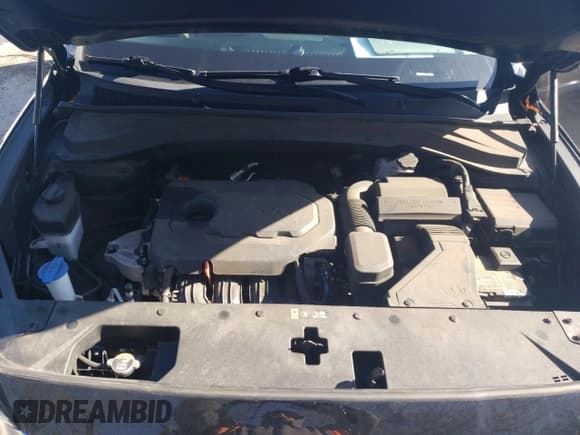 ✅ 2020 Hyundai Santa Fe SEL • VIN: 5NMS33ADXLH176979 • Lot: 41059443. Wystawiony na Copart z przebiegiem 48 658 mil. Bezpłatny archiwum sprzedaży aukcyjnych z USA i szczegółowy raport historii pojazdu na DreamBid. Zdjęcie 12.