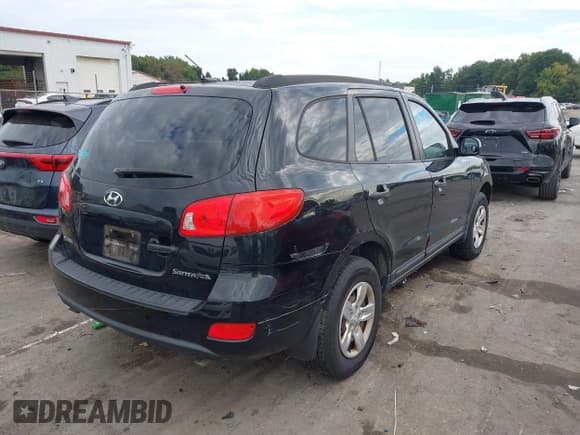 ✅ 2009 Hyundai Santa Fe GLS • VIN: 5NMSG13D29H322340 • Lot: 43335825. Listed on IAAI with 306,617 mi. Free auction sales archive from the USA and detailed vehicle history report at DreamBid. Image 4.